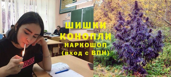 гидра Алзамай