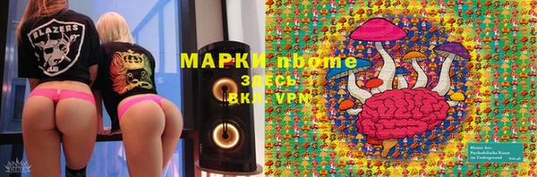мет Алексин