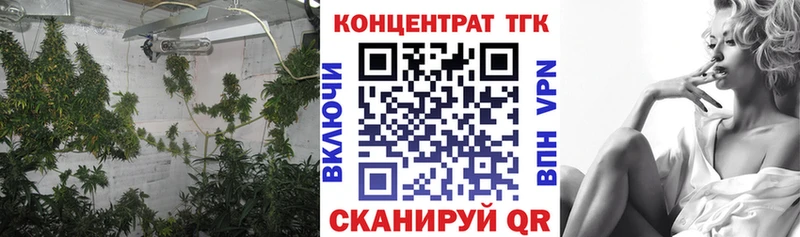 как найти   Заволжск  ТГК вейп 